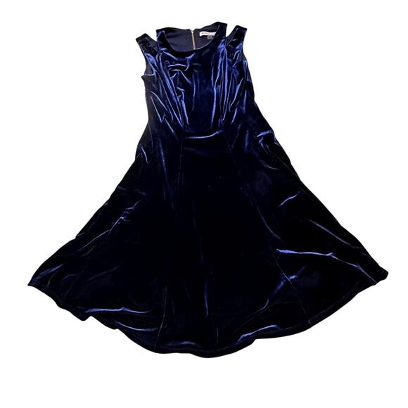 Navy Blue Velvet Dress - Picture 1 of 3